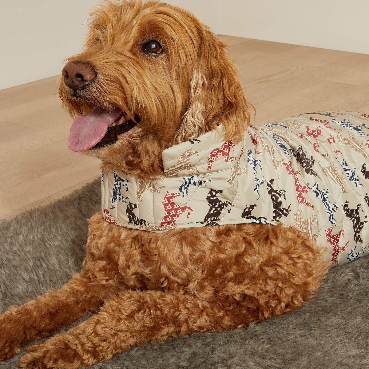 Pup Puffer Jacket Ariat Accessories