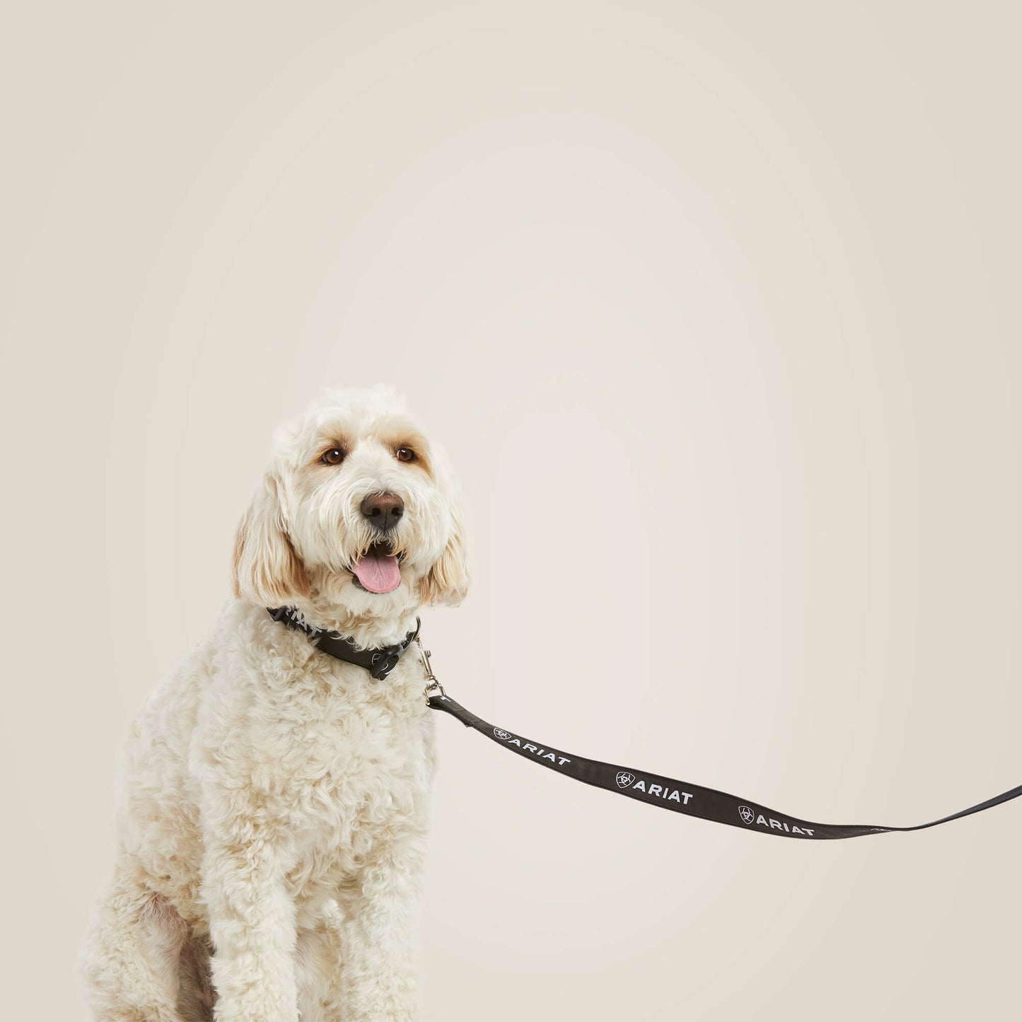 Dog Leash Ariat Accessories