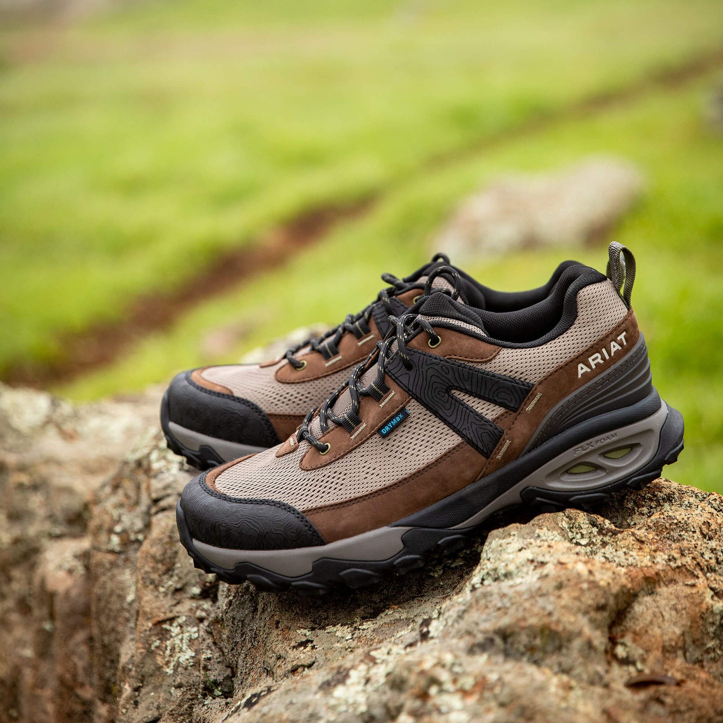Traverse Low Waterproof Hiking Shoe Ariat Men