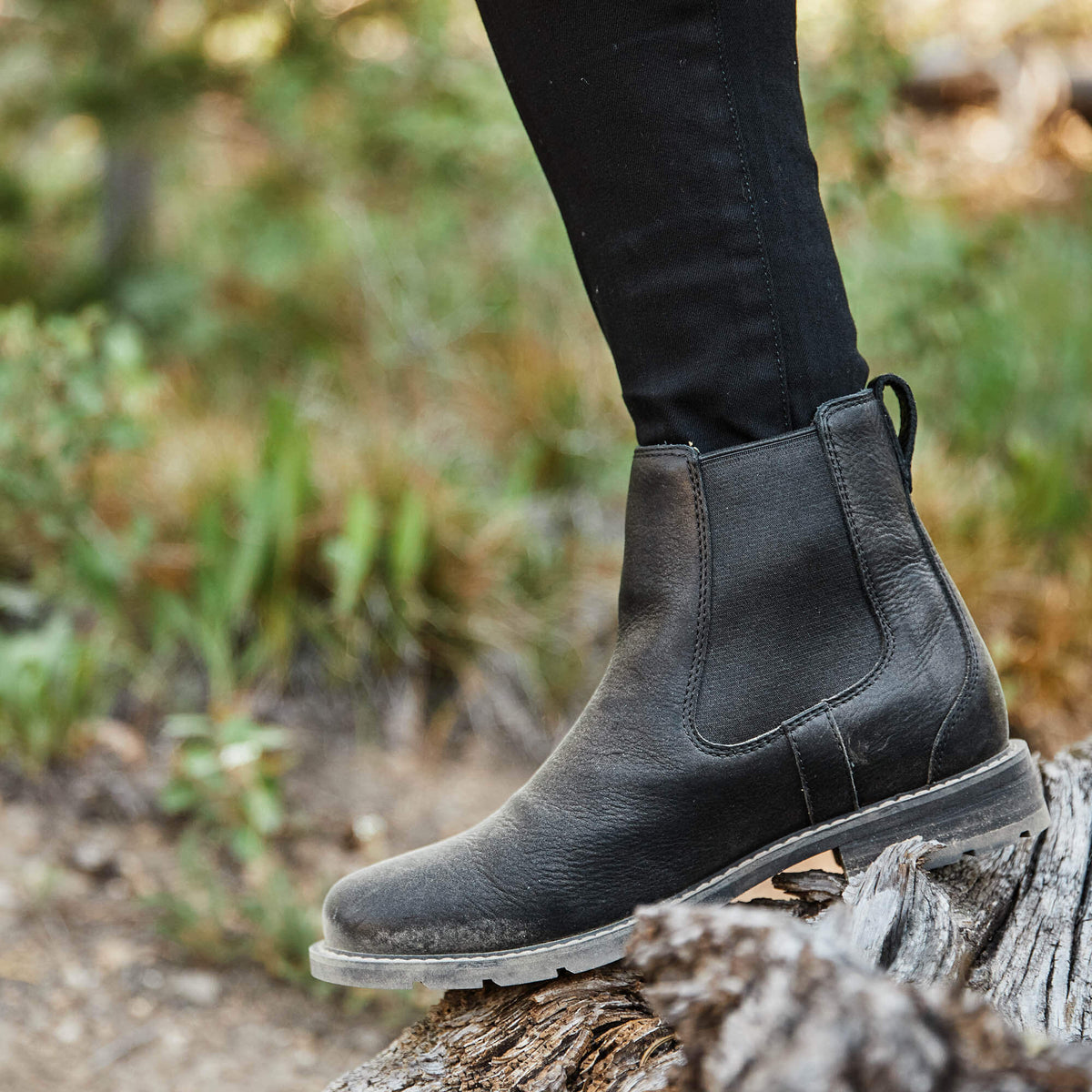 Wexford Waterproof Chelsea Boot Ariat Women