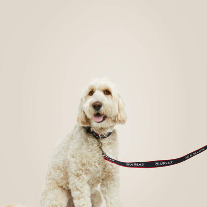 Dog Leash Ariat Accessories