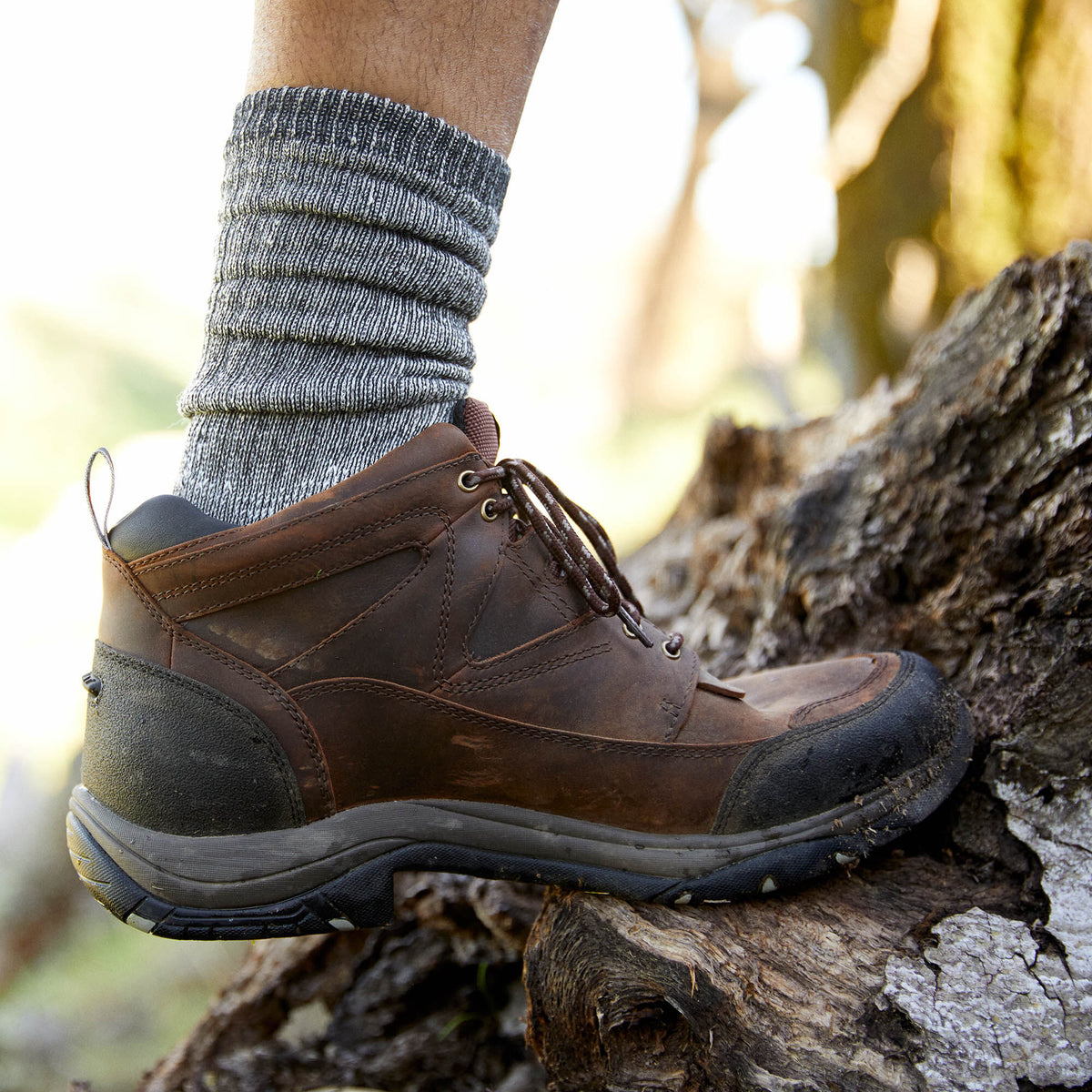 Terrain Waterproof Boot Ariat Men