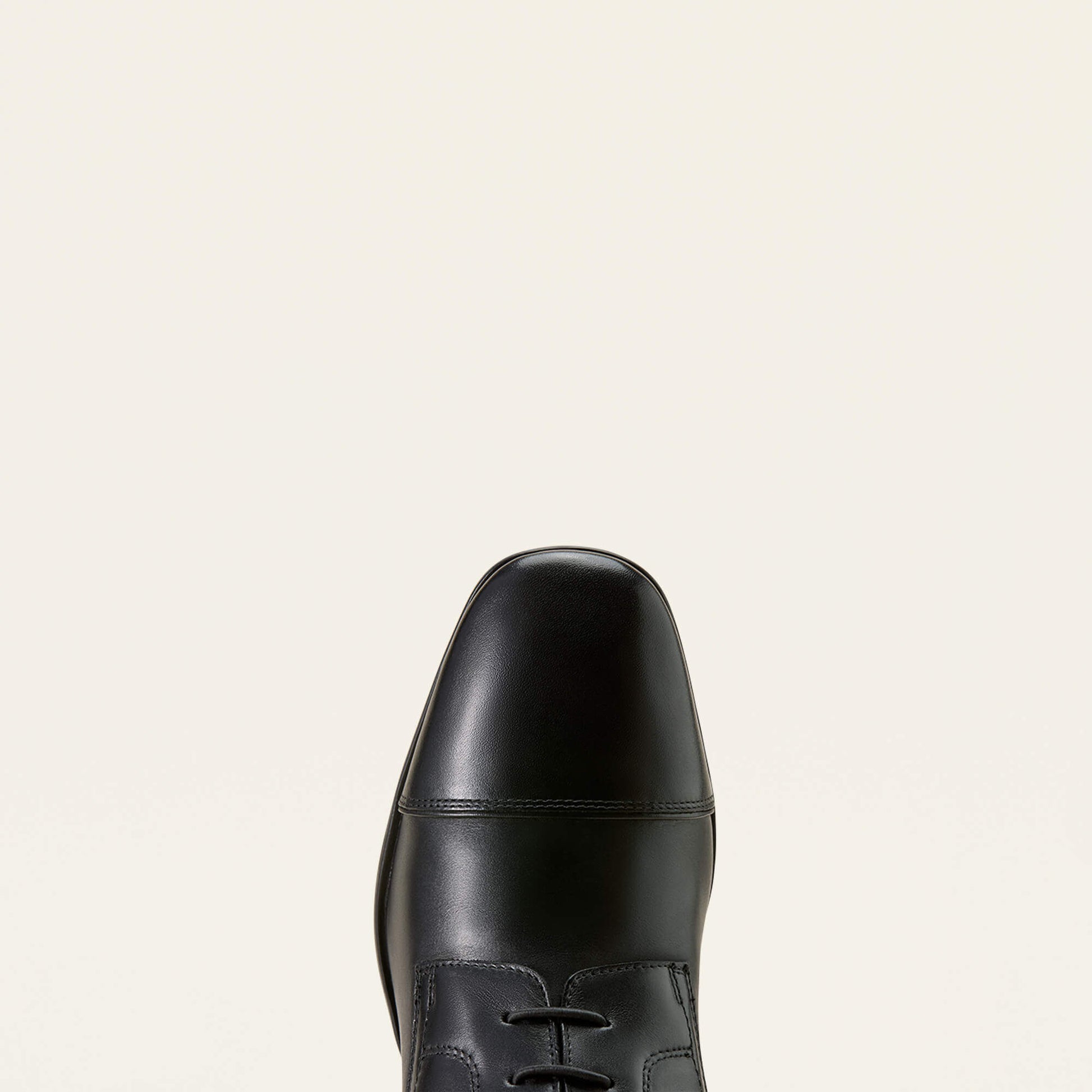 Palisade Field Tall Riding Boot Ariat Men