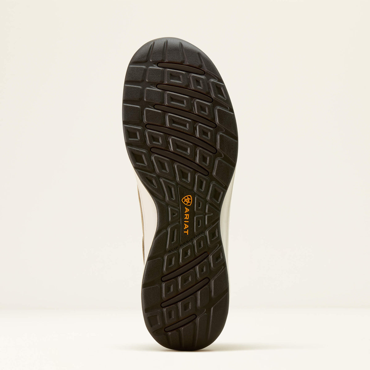 Buckeye Steel Toe Work Shoe Ariat Men|Work