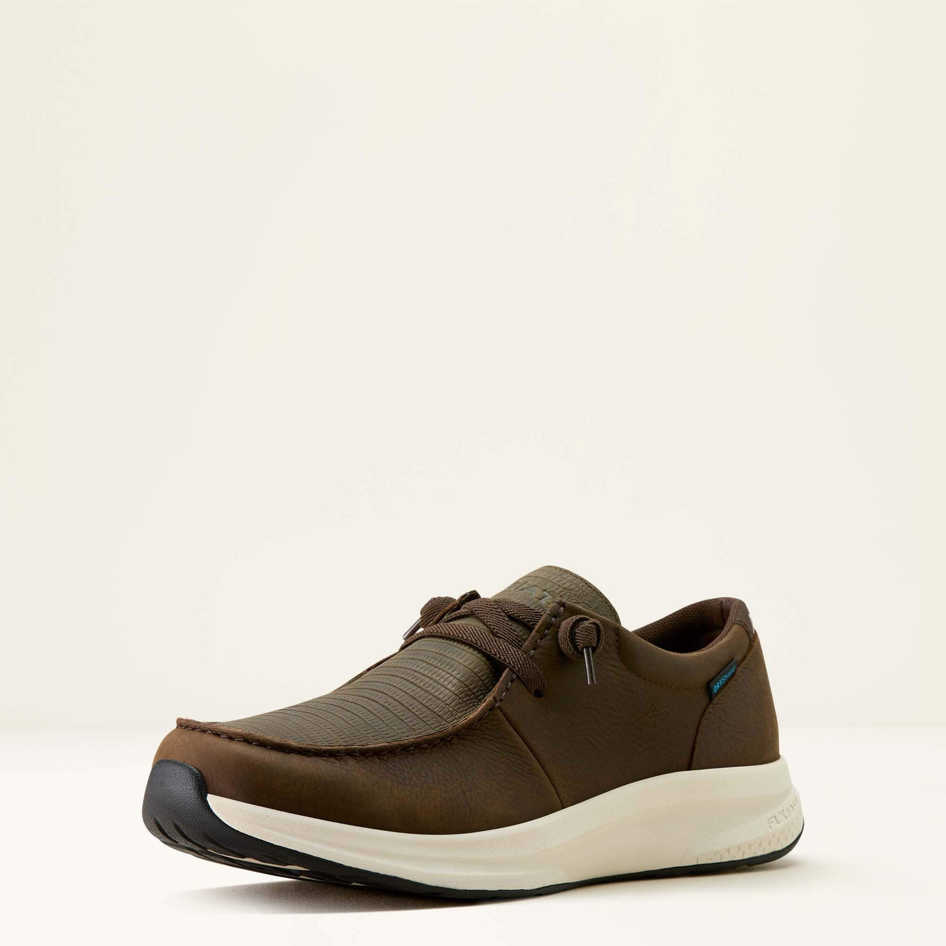 Buckeye Waterproof Shoe Ariat Men