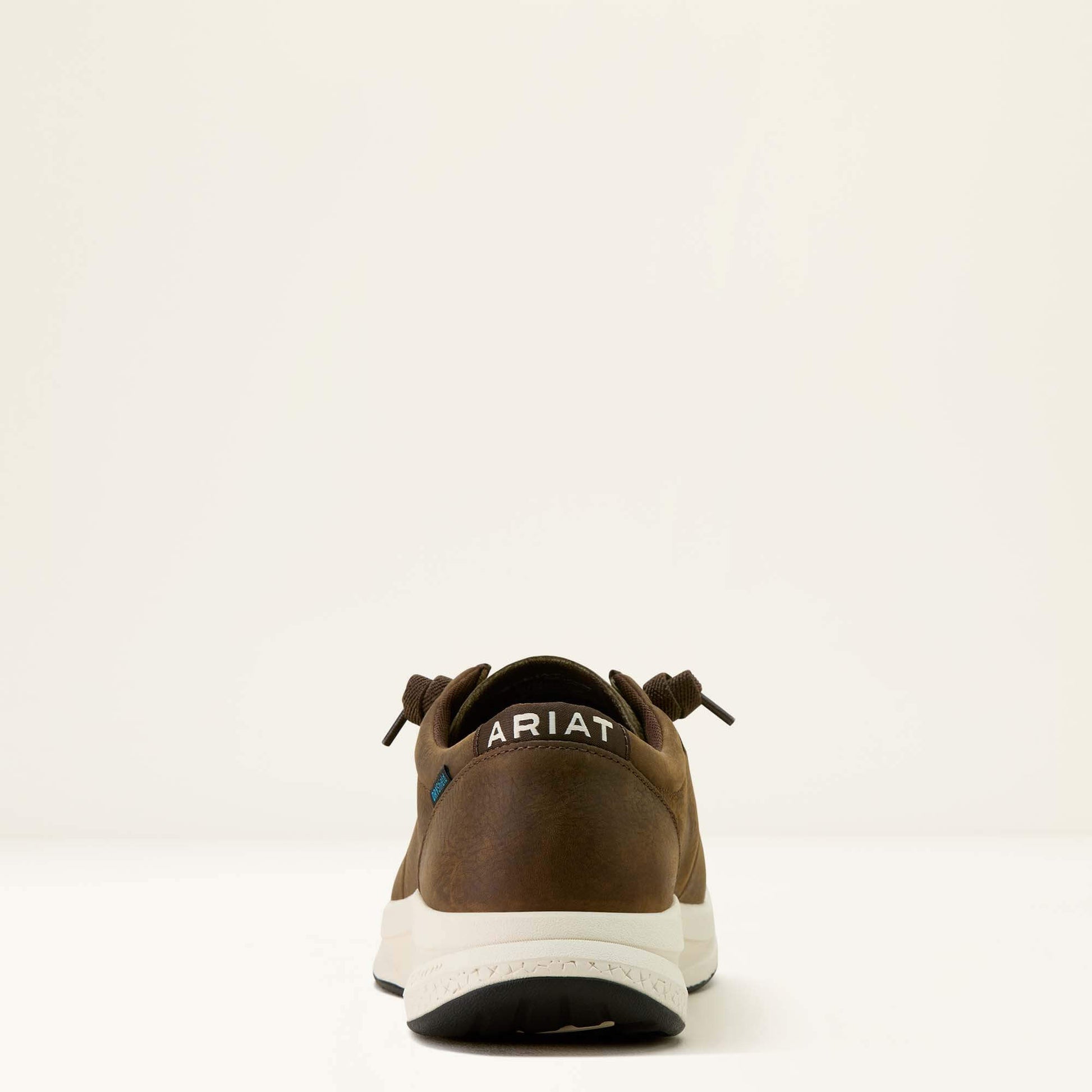 Buckeye Waterproof Shoe Ariat Men