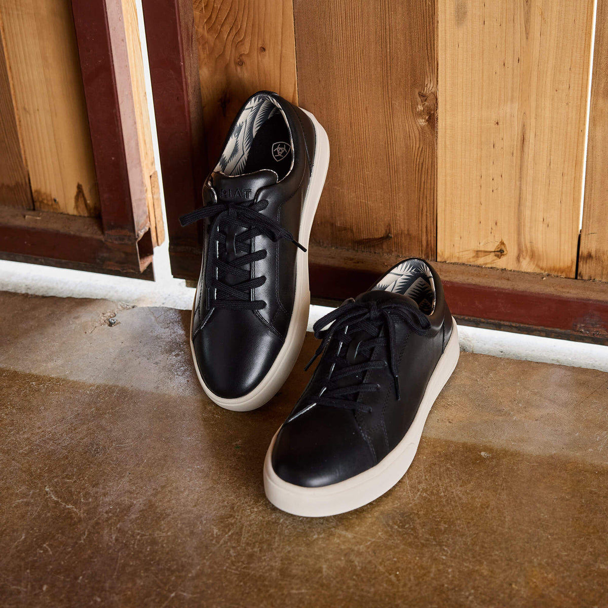 Sawyer Shoe Ariat Men