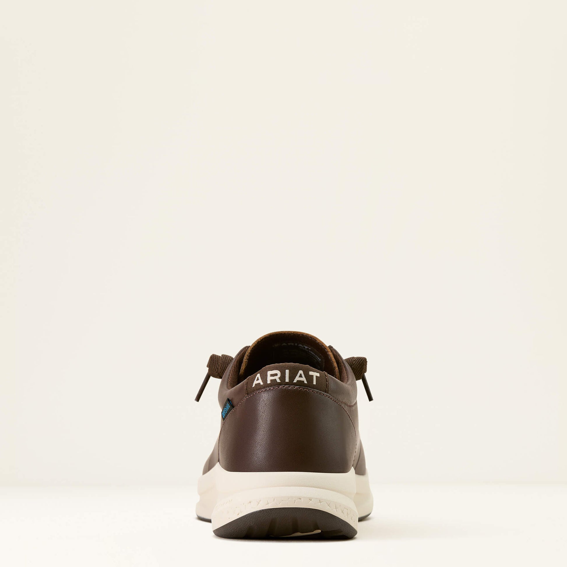 Buckeye Waterproof Shoe Ariat Men