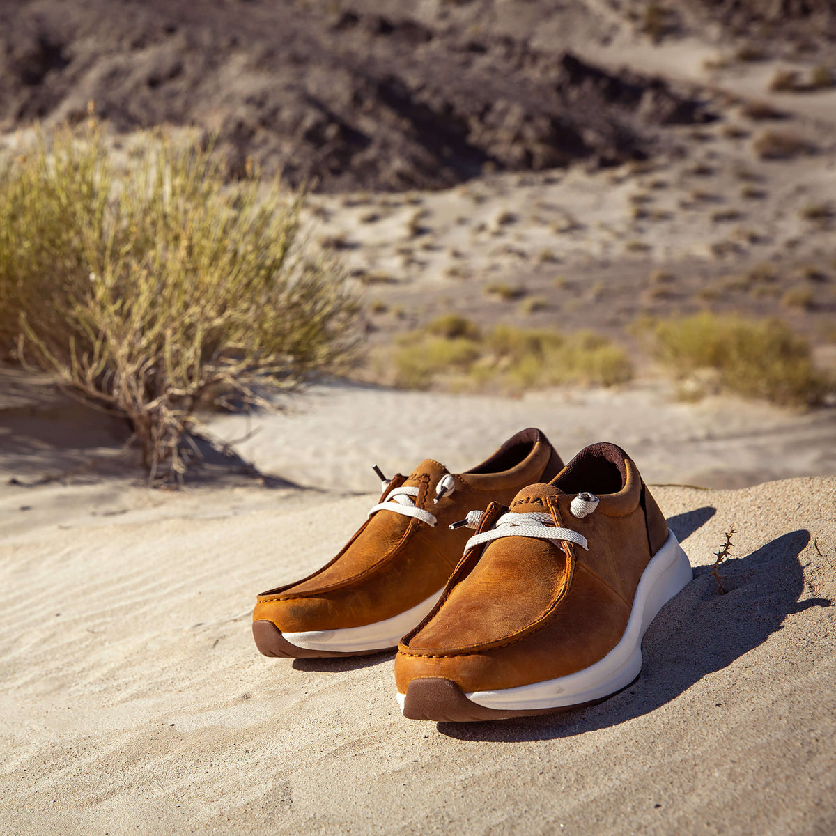 Buckeye Waterproof Shoe Ariat Men
