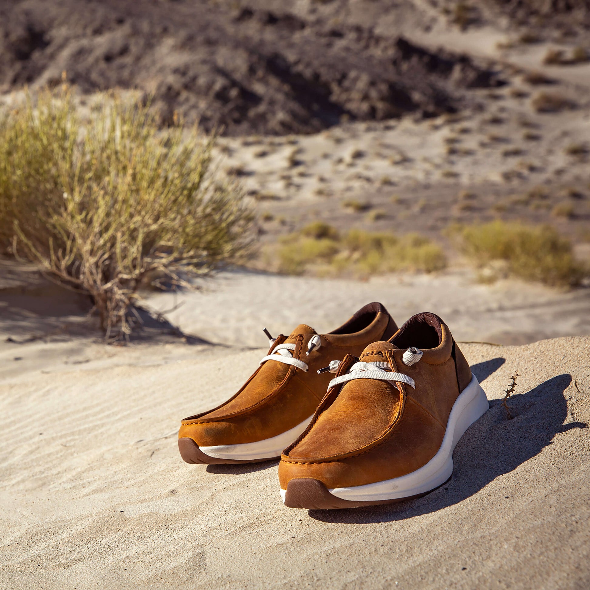 Buckeye Waterproof Shoe Ariat Men