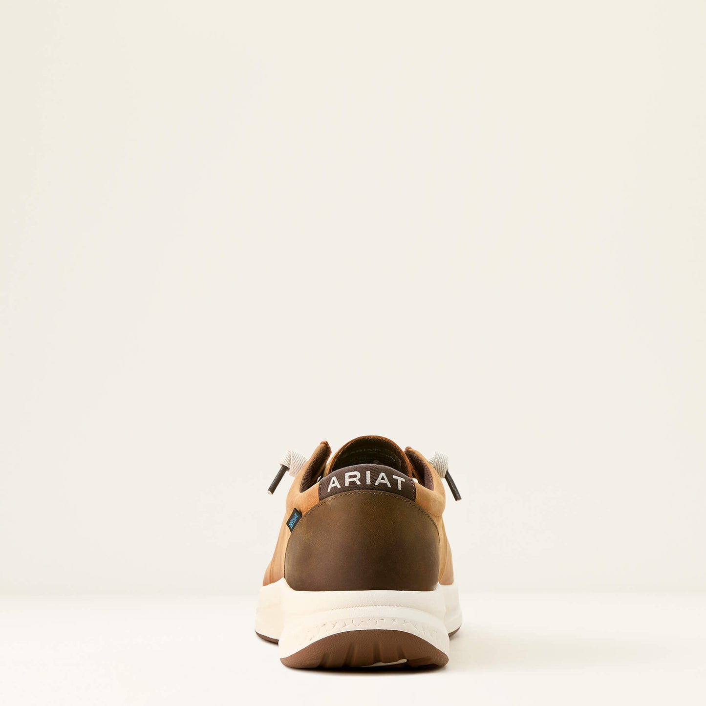 Buckeye Waterproof Shoe Ariat Men