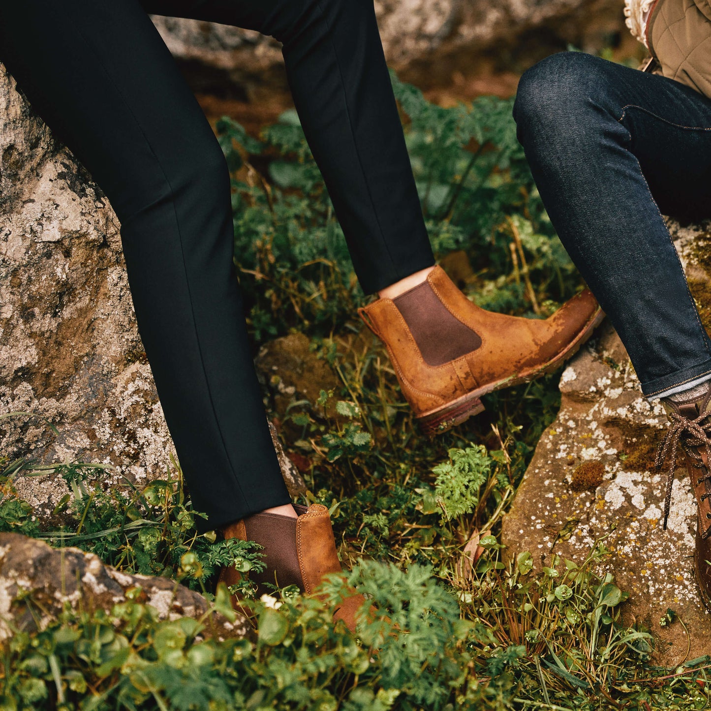 Wexford Waterproof Chelsea Boot Ariat Women