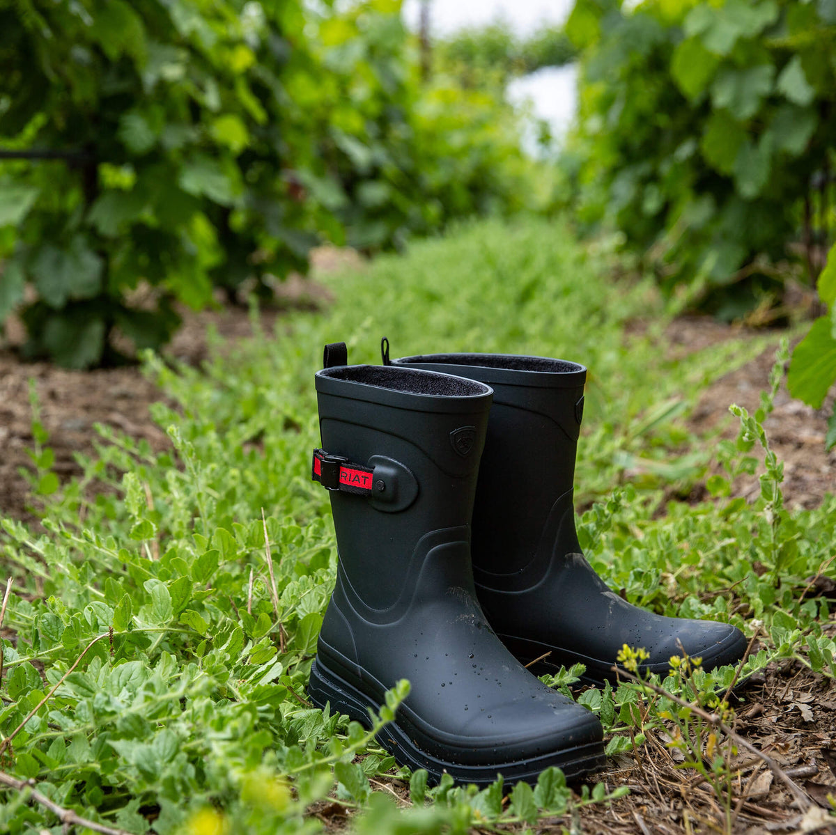 Kelmarsh Mid Rubber Boot Ariat Women