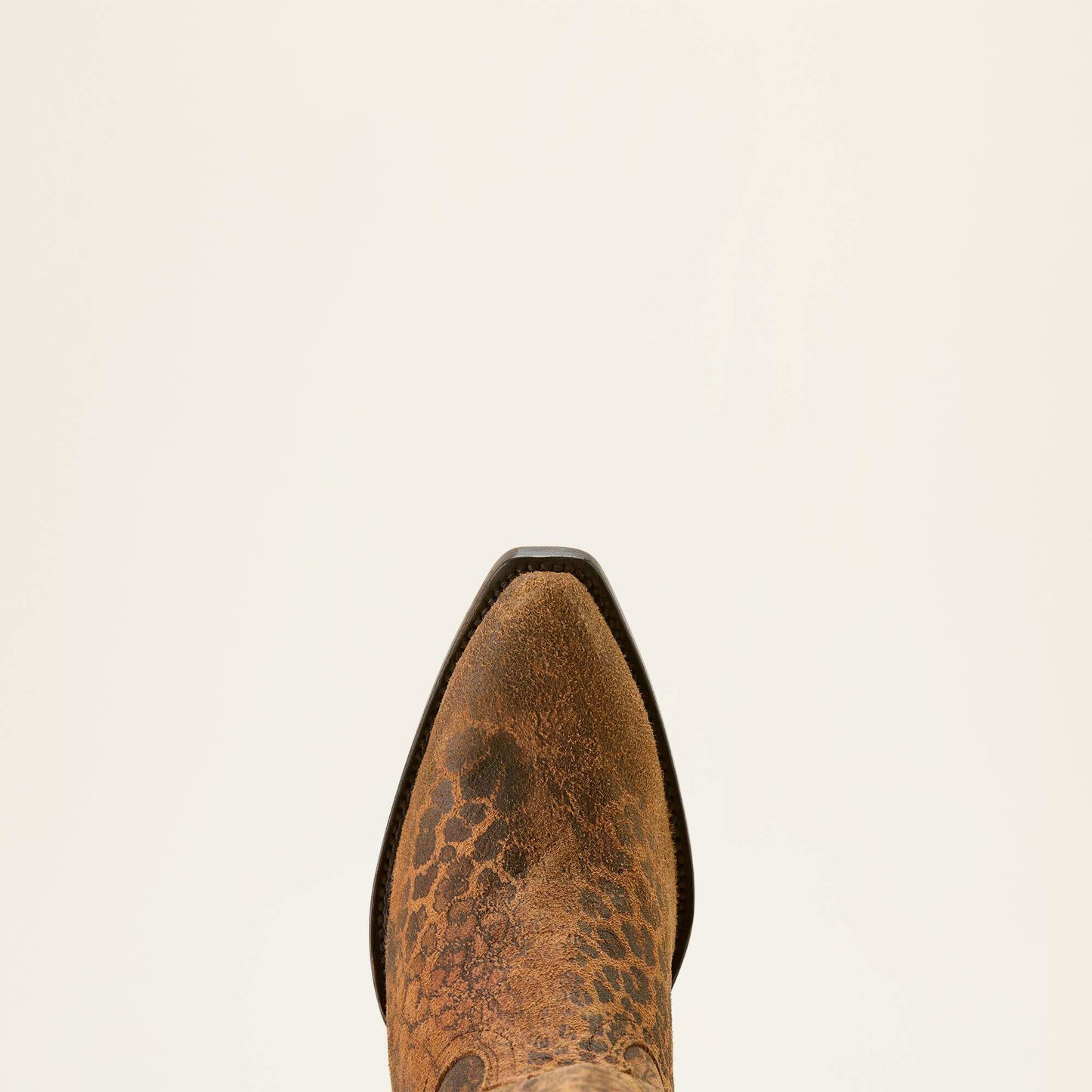 Casanova X Toe Western Boot Ariat Women