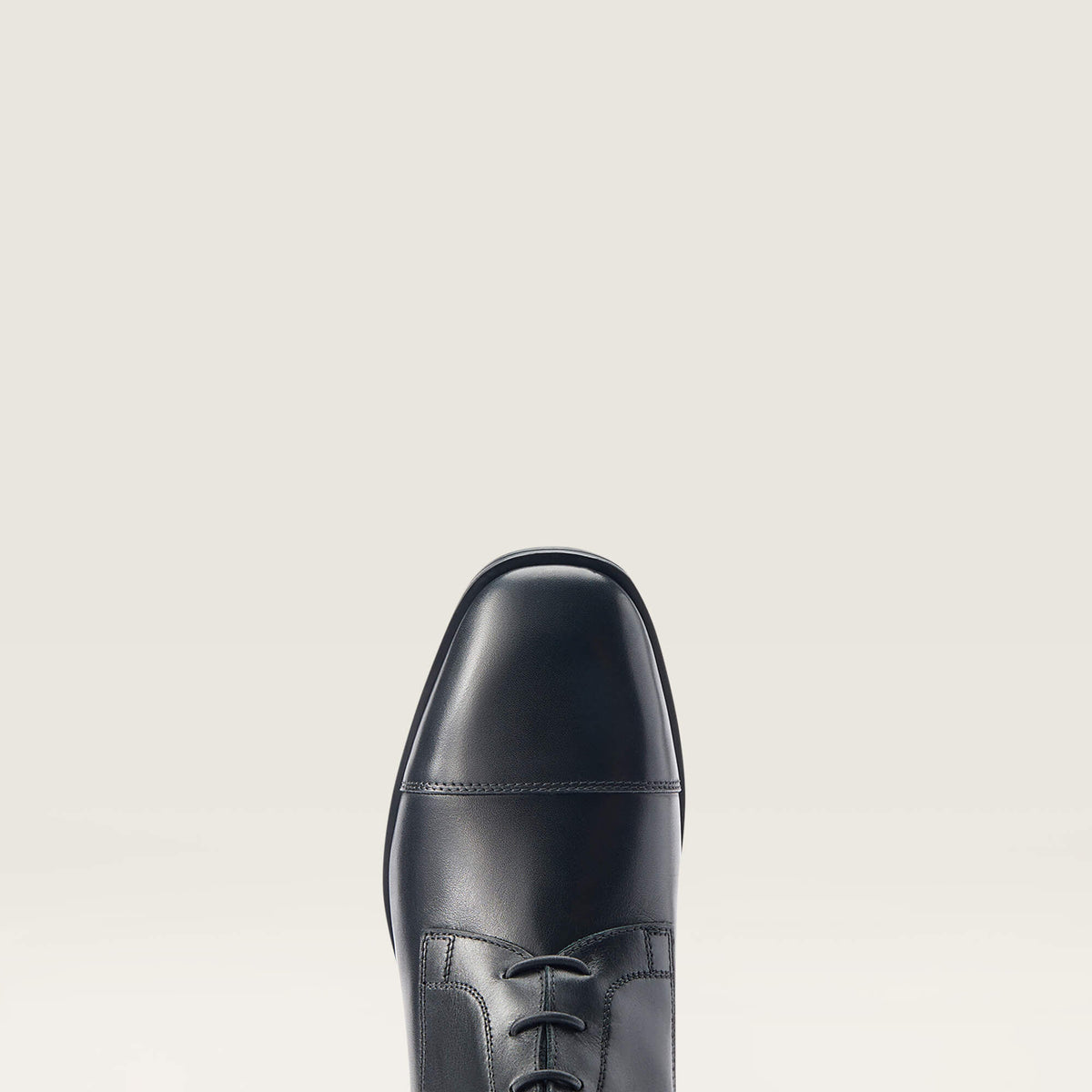 Ravello Tall Riding Boot Ariat Women