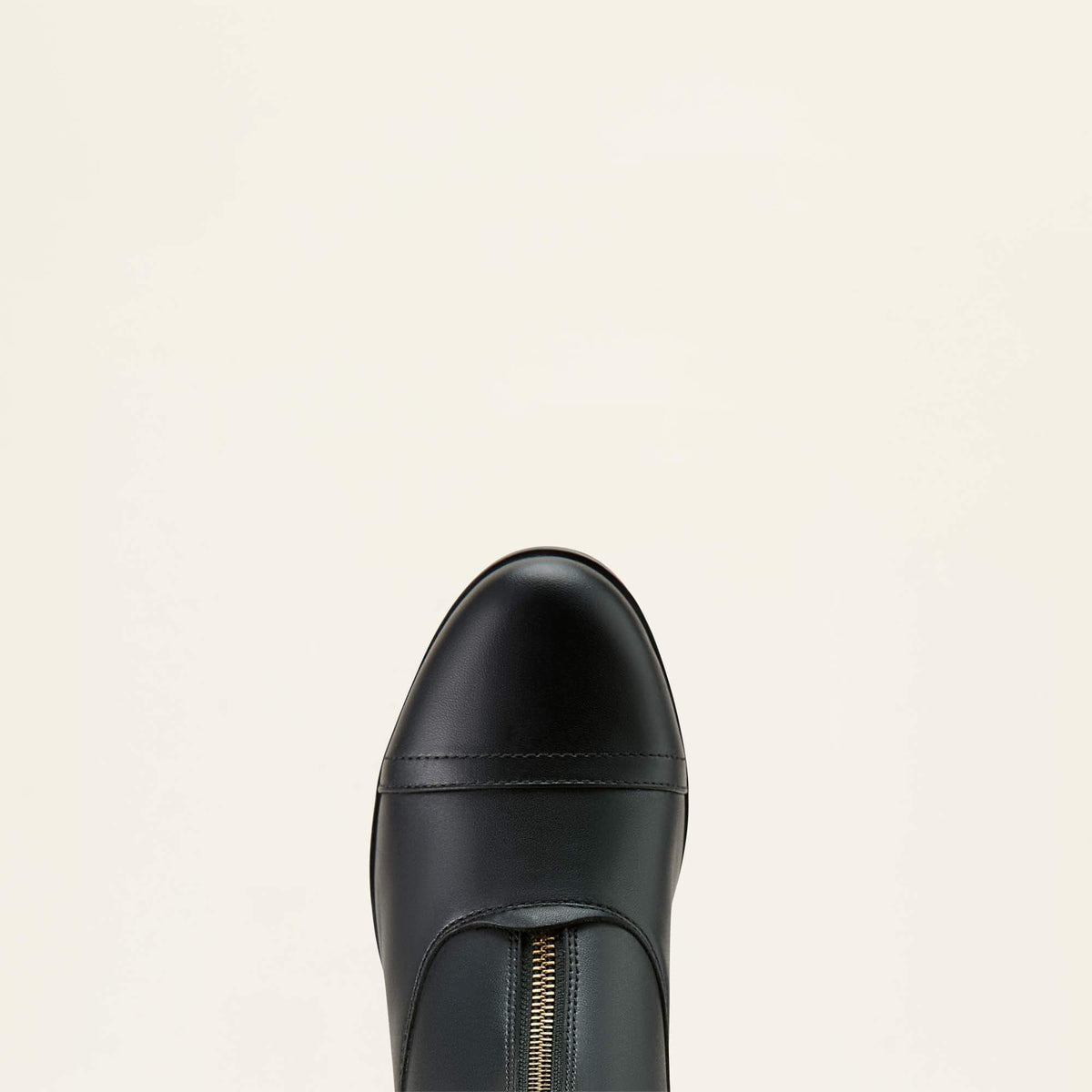 Women's Scout Zip Paddock Boot Ariat Women