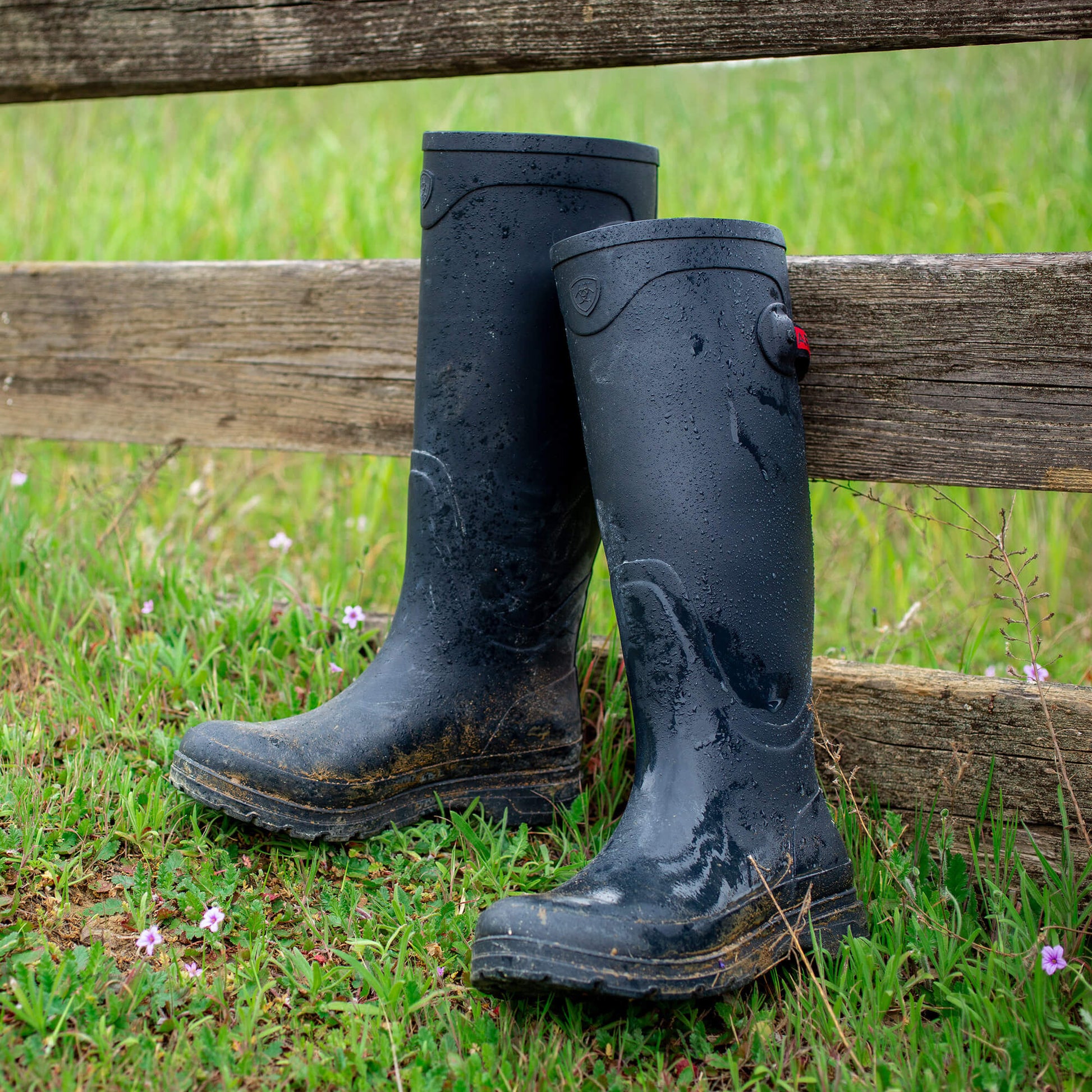 Kelmarsh Rubber Boot Ariat Women