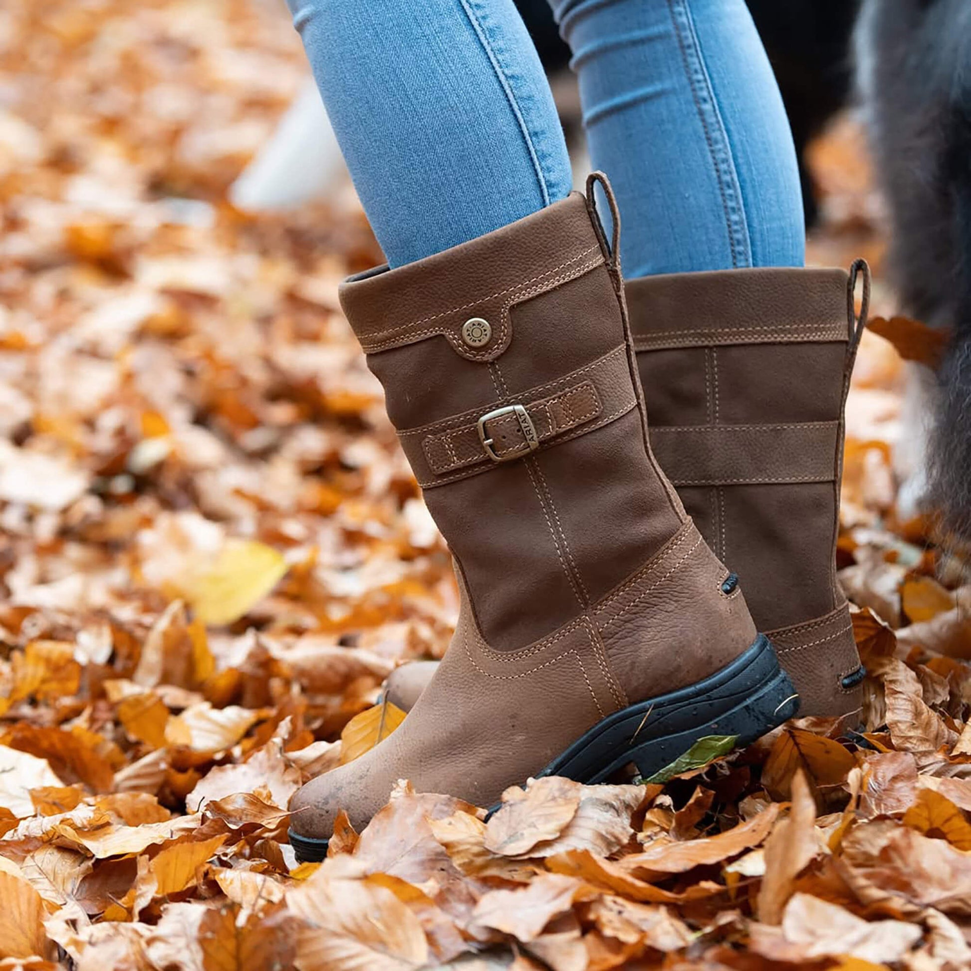 Bampton Waterproof Boot Ariat Women