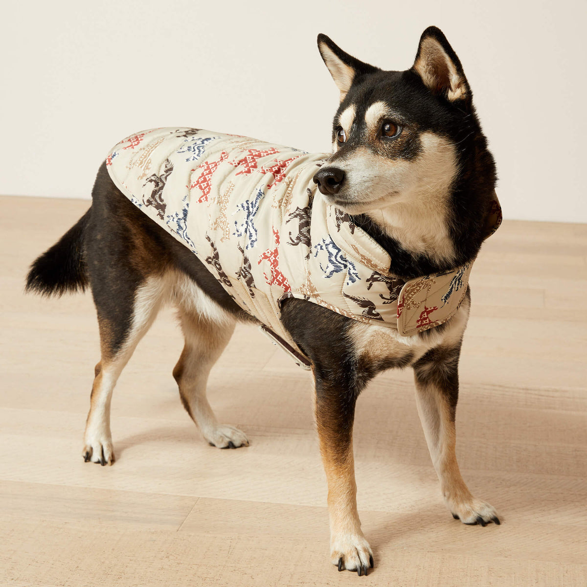 Pup Puffer Jacket Ariat Accessories