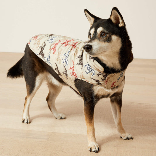 Pup Puffer Jacket Ariat Accessories