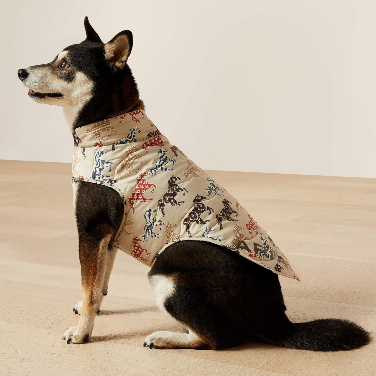 Pup Puffer Jacket Ariat Accessories