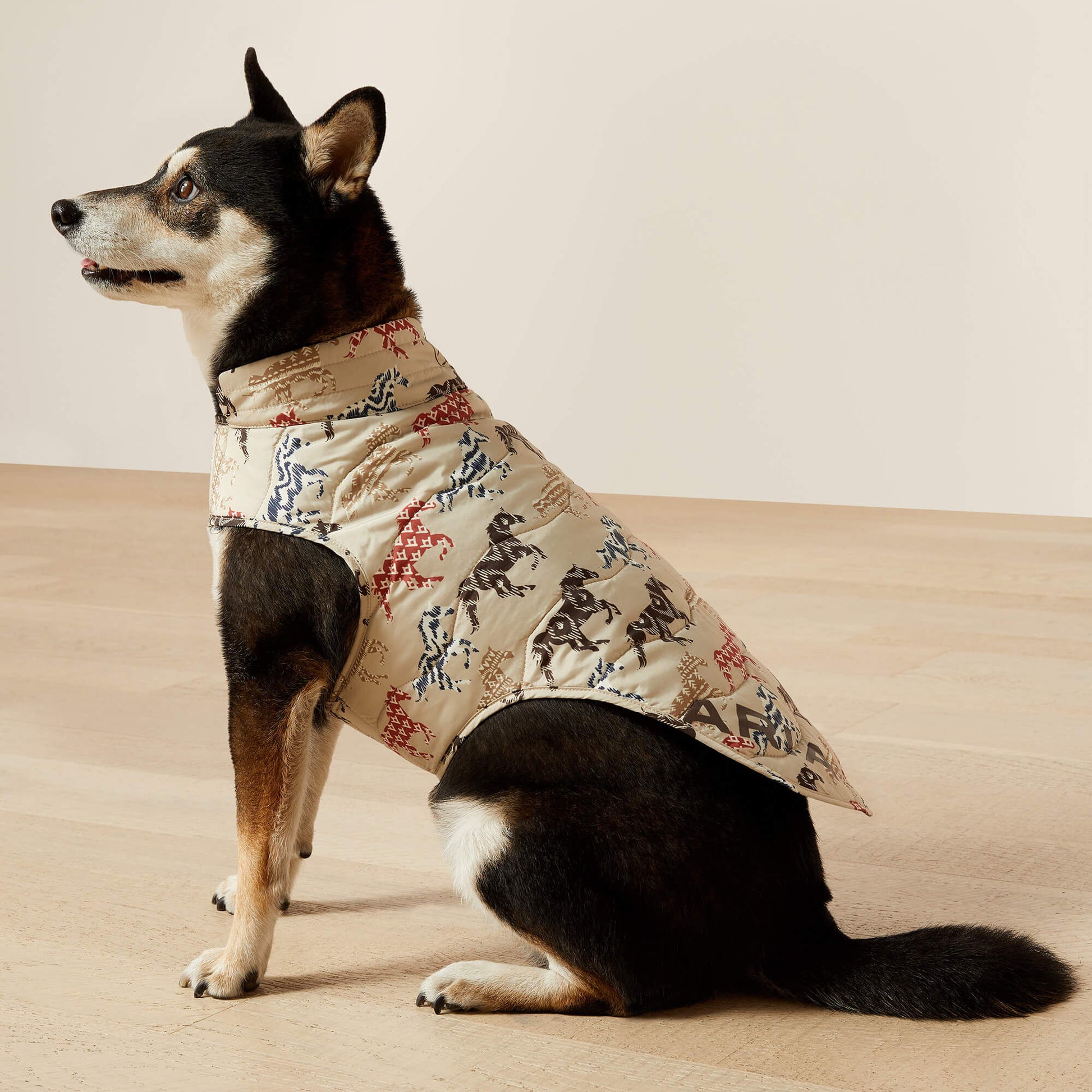 Pup Puffer Jacket Ariat Accessories