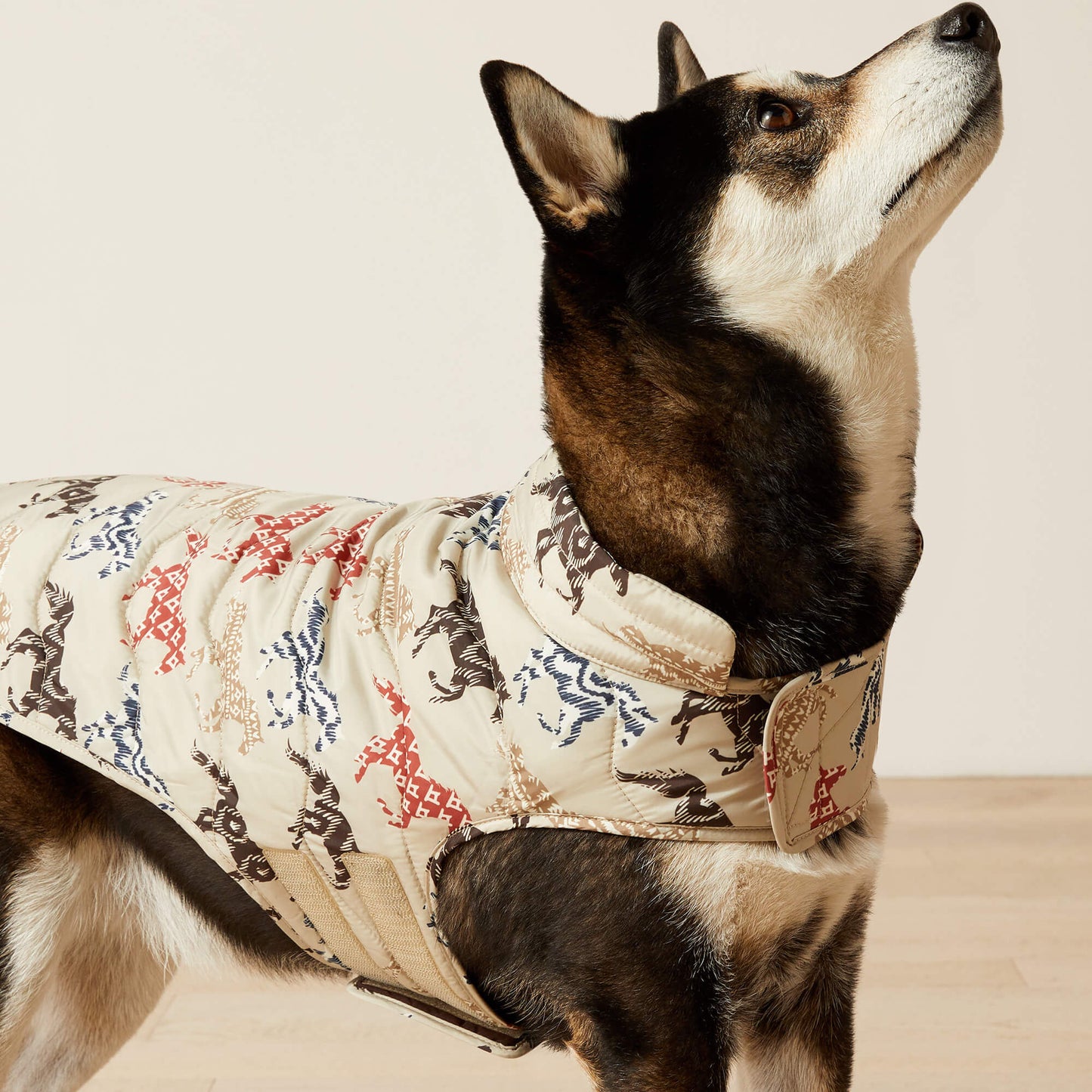 Pup Puffer Jacket Ariat Accessories