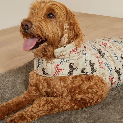Pup Puffer Jacket Ariat Accessories