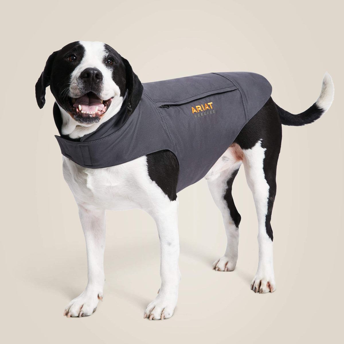 Rebar DuraCanvas Insulated Dog Jacket Ariat Accessories