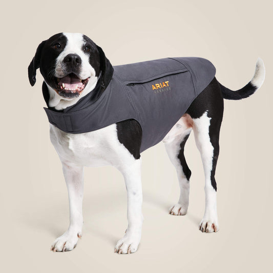 Rebar DuraCanvas Insulated Dog Jacket Ariat Accessories