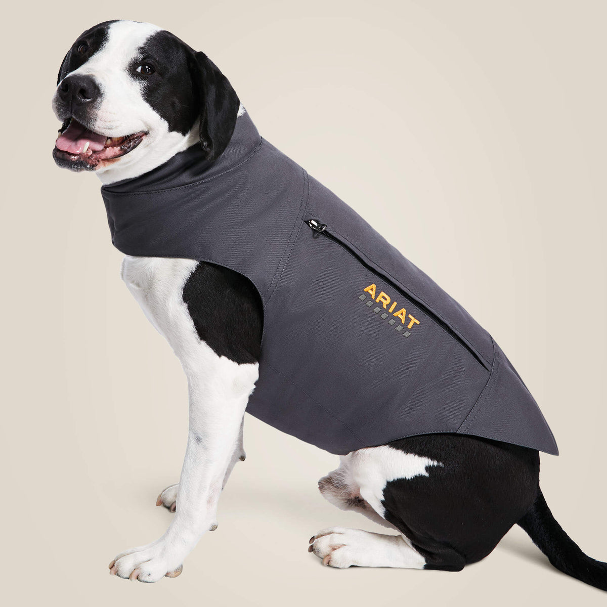 Rebar DuraCanvas Insulated Dog Jacket Ariat Accessories