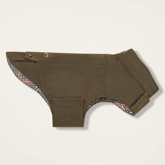 Argentium Dog Jacket Ariat Accessories