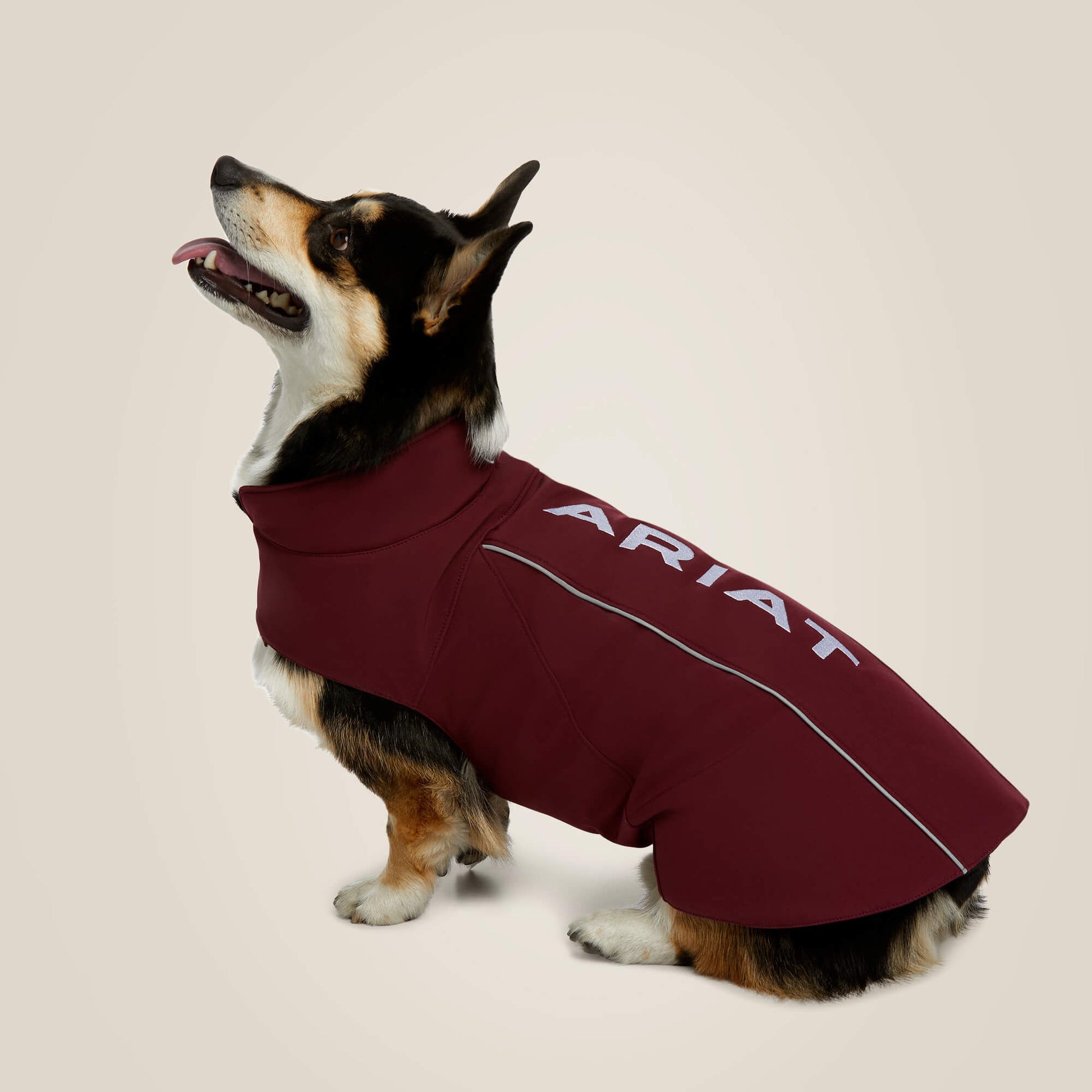 Team Softshell Dog Jacket Ariat Accessories