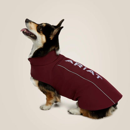 Team Softshell Dog Jacket Ariat Accessories