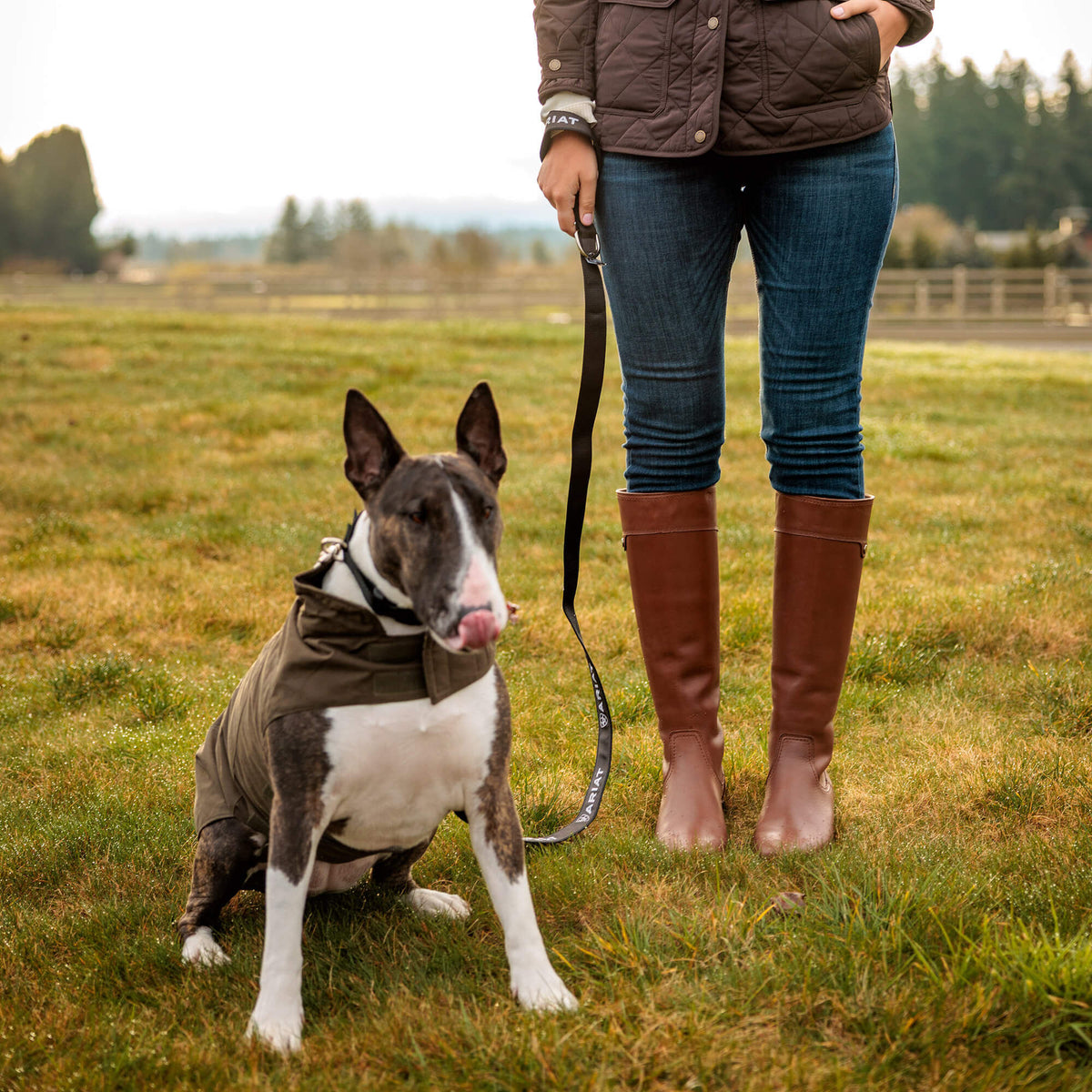 Dog Leash Ariat Accessories