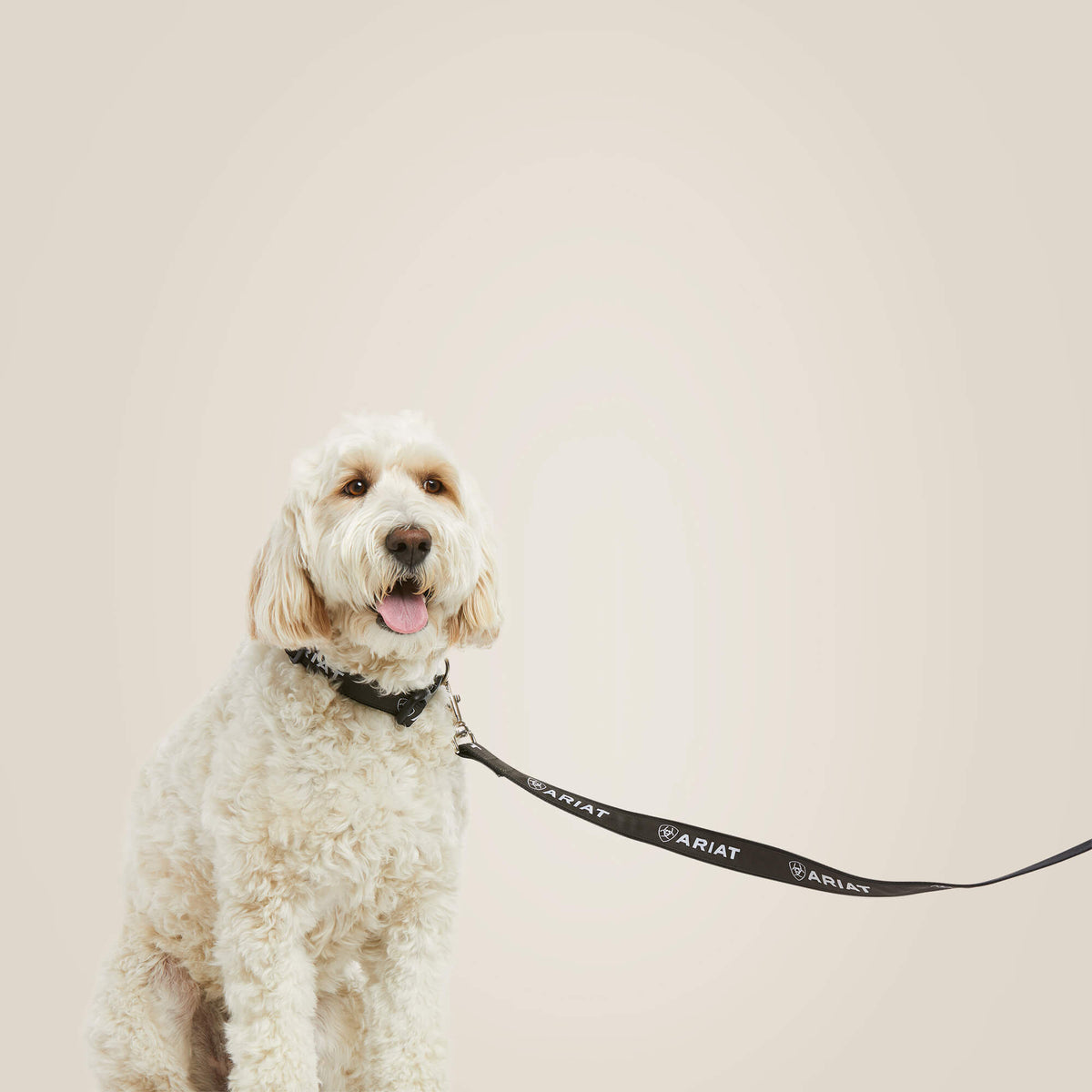 Dog Leash Ariat Accessories