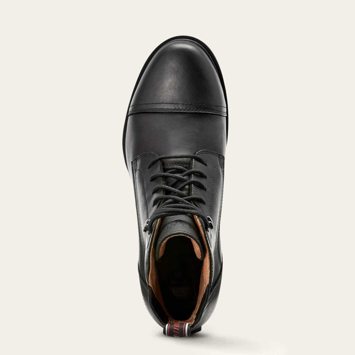 Performer Nitro Paddock Boot Ariat Sale|Women