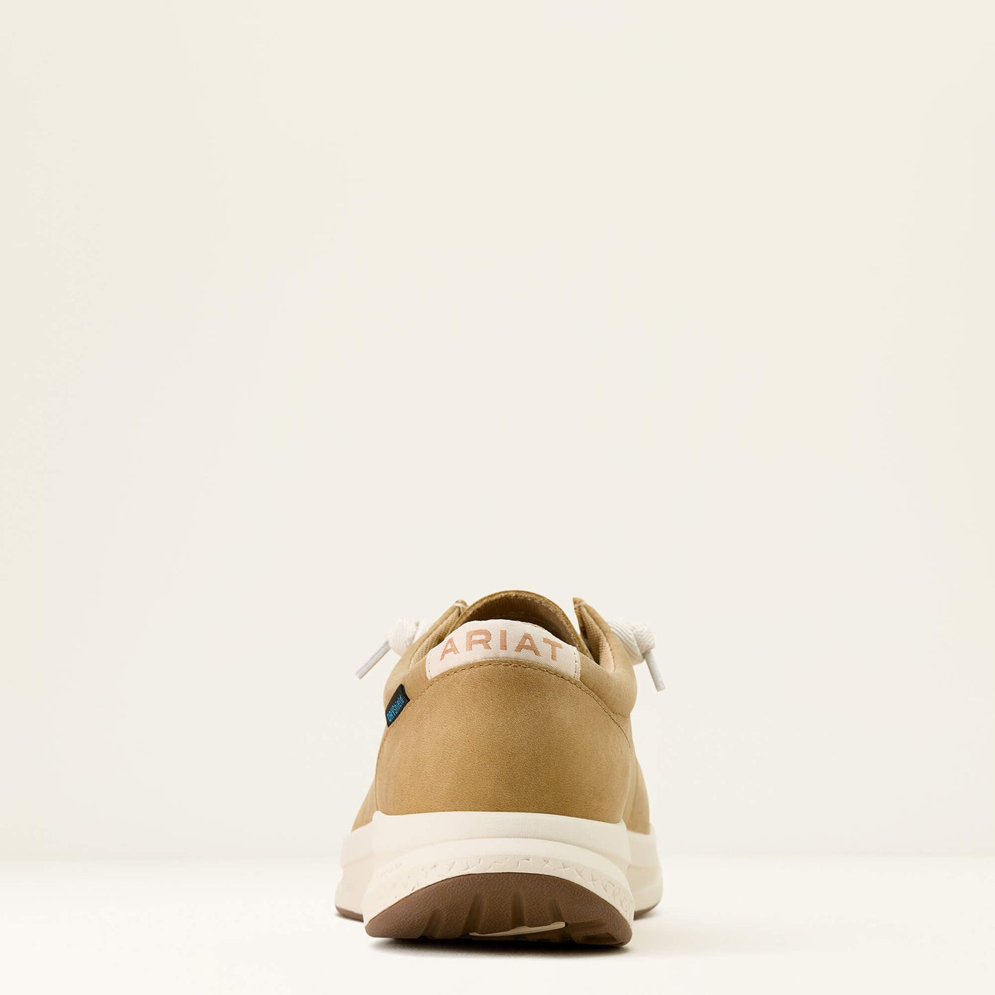 Buckeye Waterproof Shoe Ariat Men