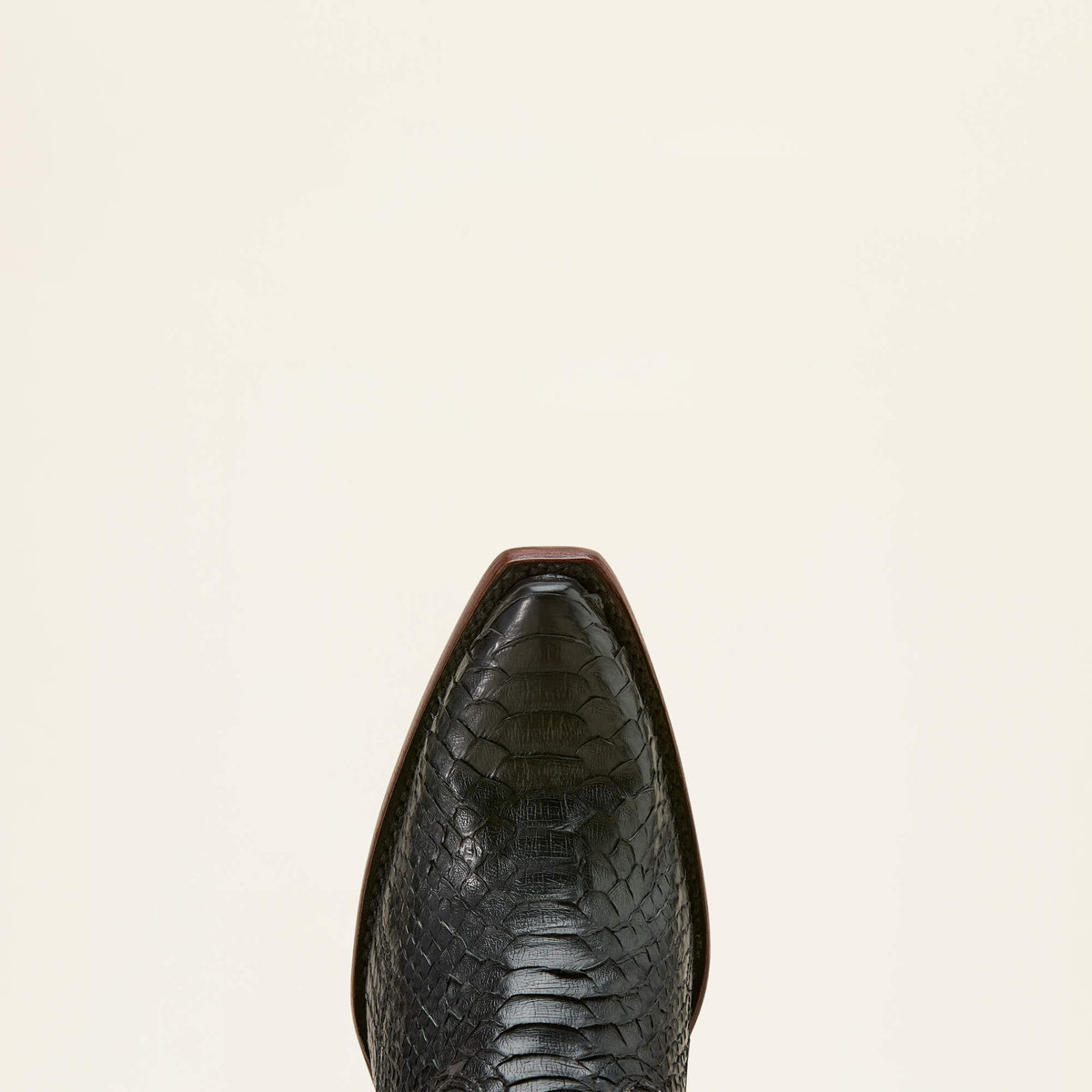 Amora Star X Toe Western Boot Ariat Women