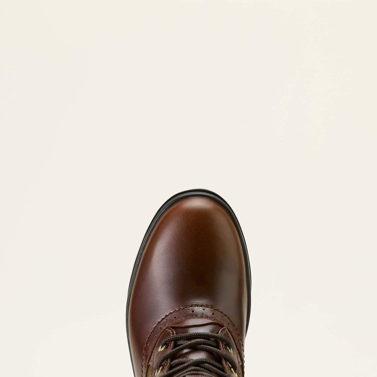 Wythburn II Waterproof Boot Ariat Women