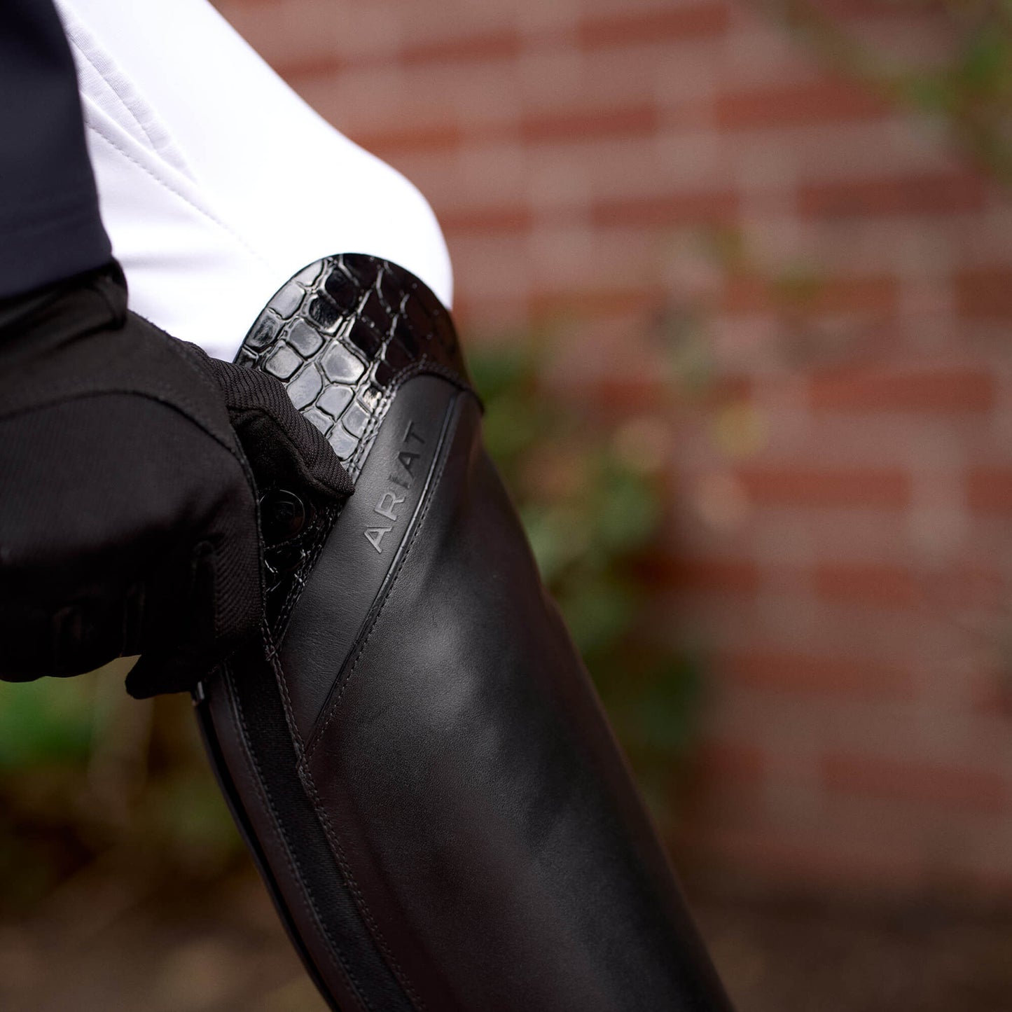 Palisade Show Tall Riding Boot Ariat Women