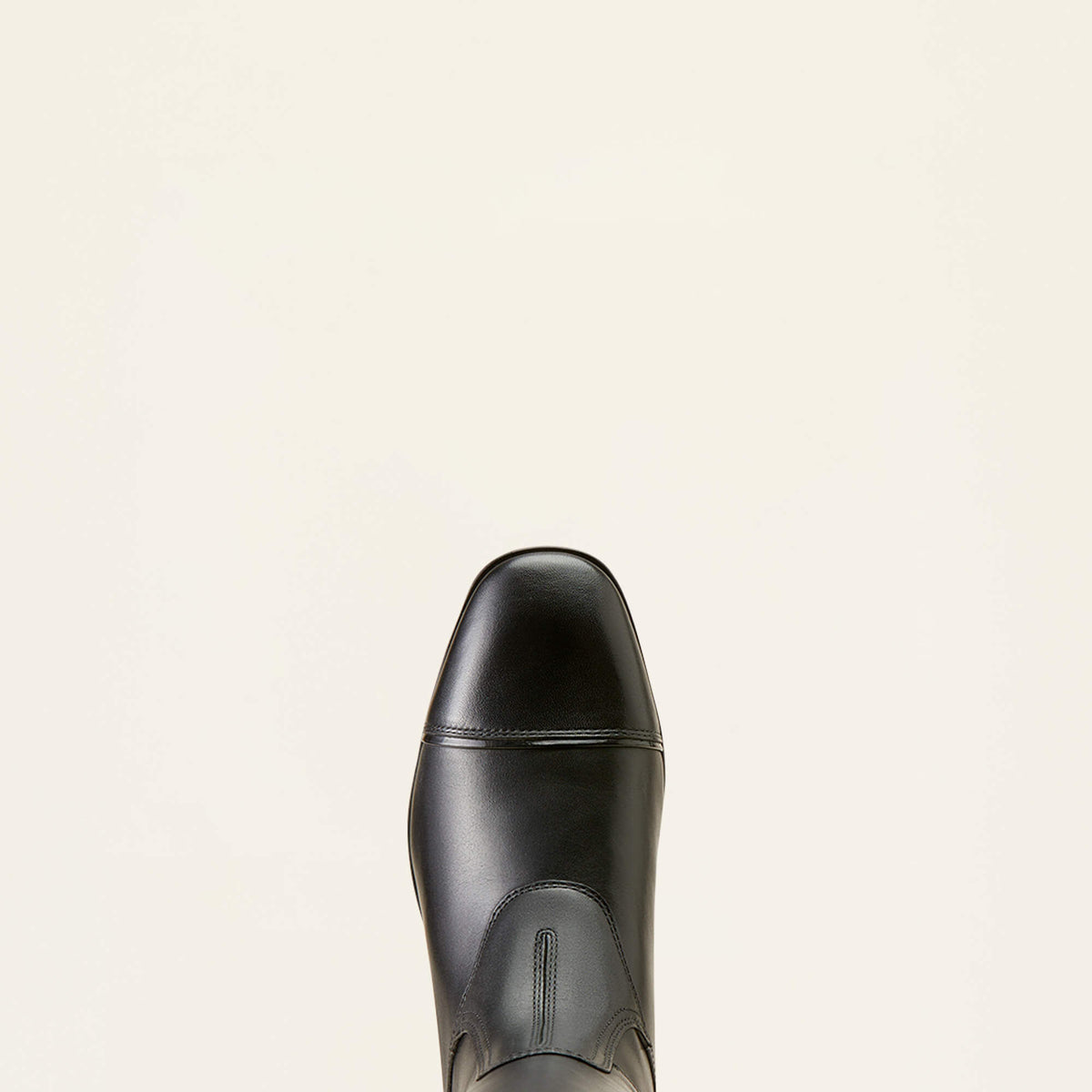 Palisade Show Tall Riding Boot Ariat Women