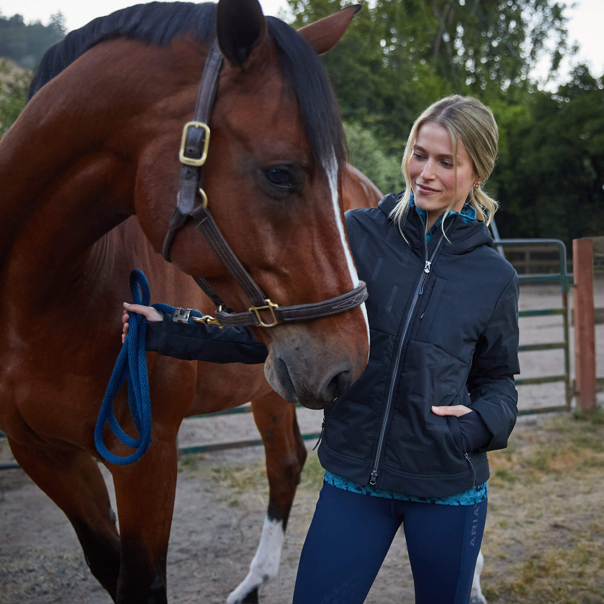 Taxore Insulated Jacket Ariat Women|Sale