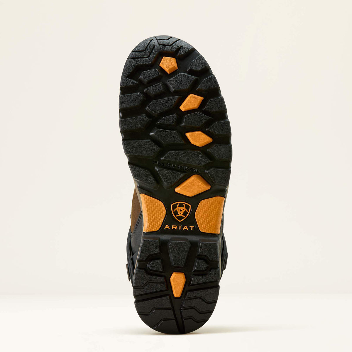 Endeavor 6" Waterproof Carbon Toe Work Boot Ariat Work