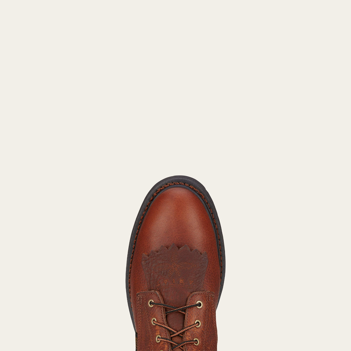Cascade 8" Waterproof Work Boot Ariat Work